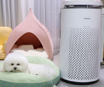 공기청정기 추천 위니아 퓨어플렉스 펫모드로 털날림 걱정끝